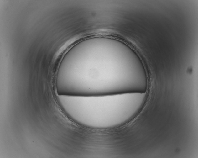 X0000115581410200911100944