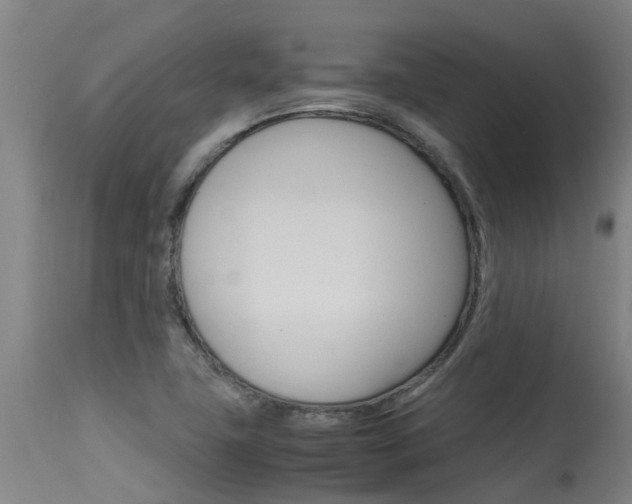X0000115581411200911100944