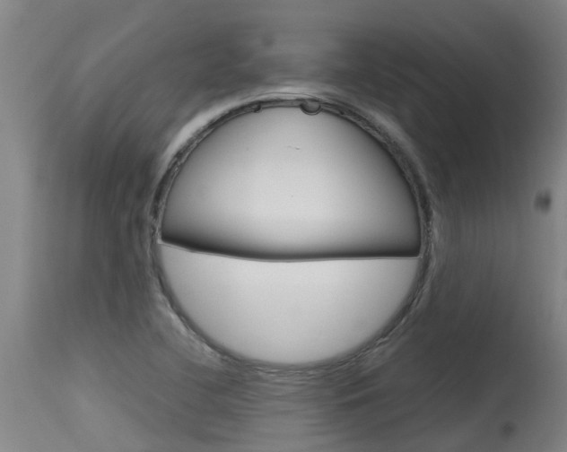 X0000115581412200911100944