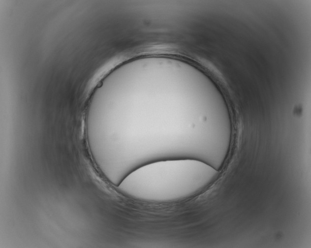 X0000115581413200911100944