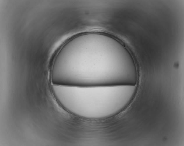 X0000115581414200911100944