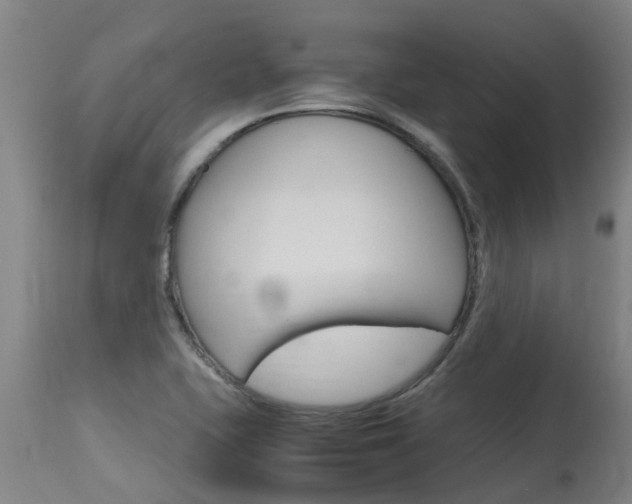 X0000115581415200911100944