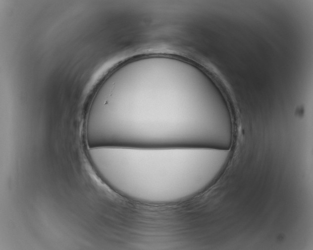 X0000115581416200911100944