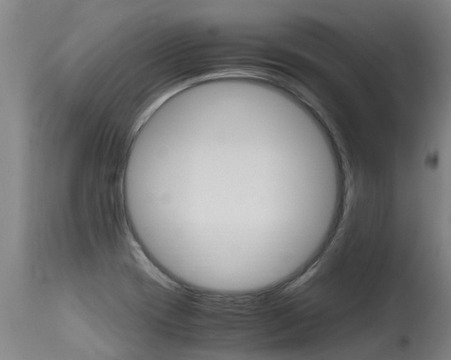 X0000115581417200911100944