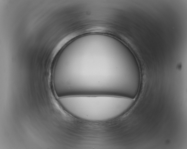 X0000115581418200911100944