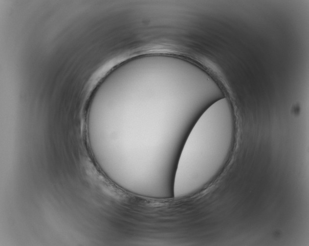 X0000115581419200911100944