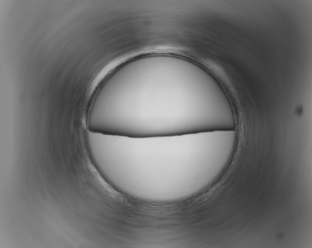 X0000115581420200911100944