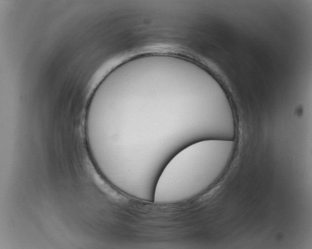X0000115581421200911100944