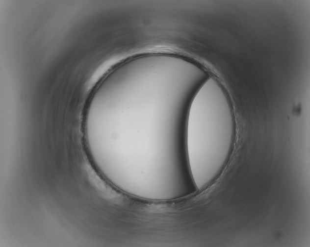 X0000115581422200911100944