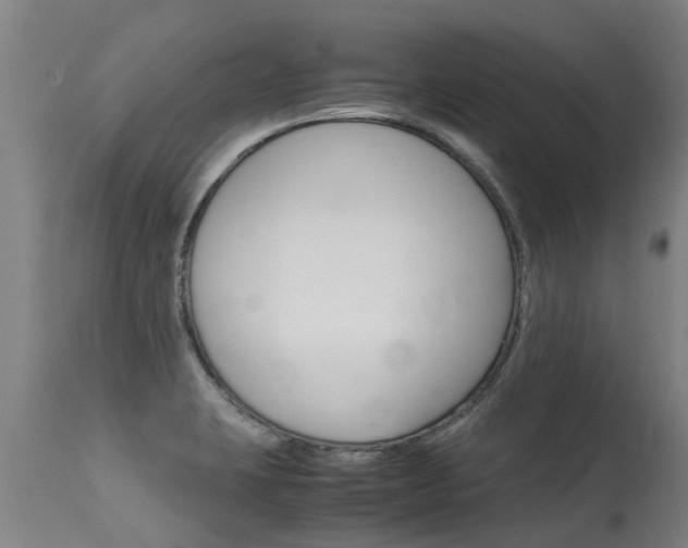 X0000115581423200911100944