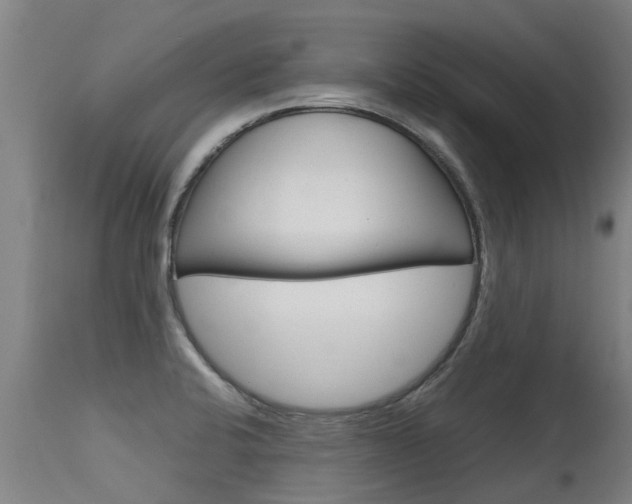 X0000115581424200911100944