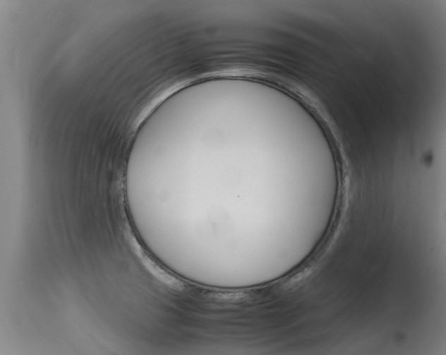 X0000115581425200911100944
