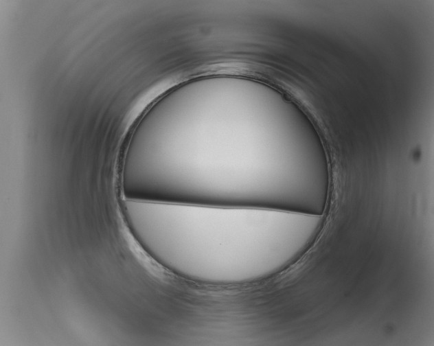 X0000115581426200911100944