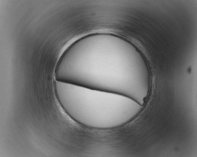 X0000115581428200911100944