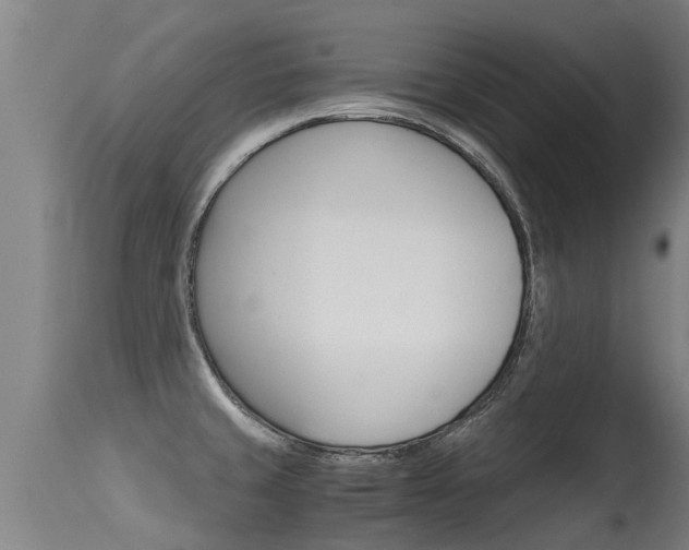 X0000115581429200911100944