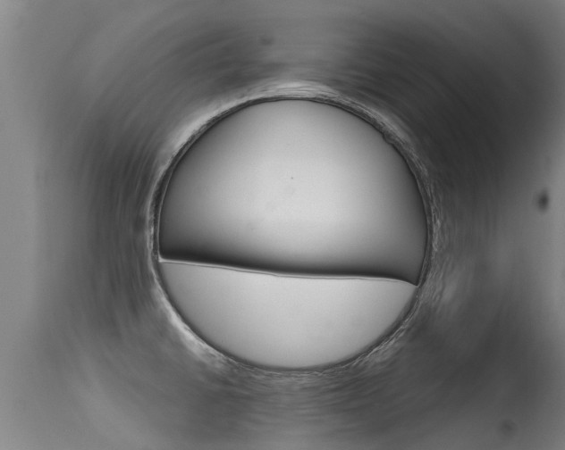 X0000115581430200911100944