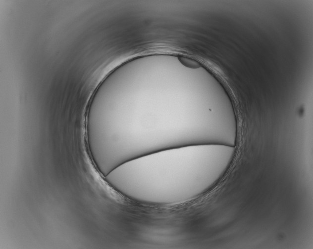 X0000115581431200911100944