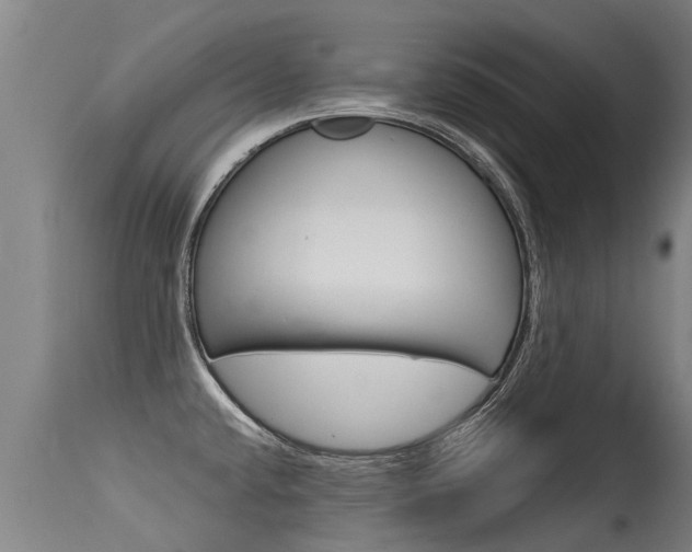 X0000115581432200911100944