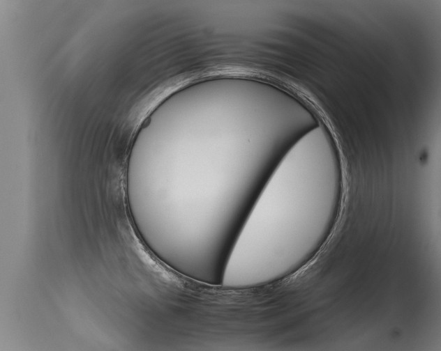 X0000115581433200911100944