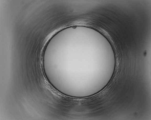 X0000115581435200911100944