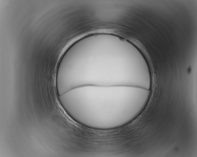 X0000115581436200911100944