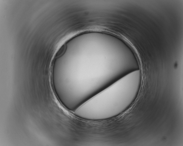 X0000115581437200911100944