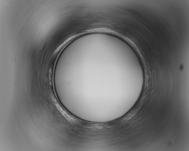X0000115581438200911100944