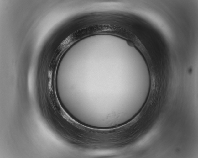 X0000115581439200911100944