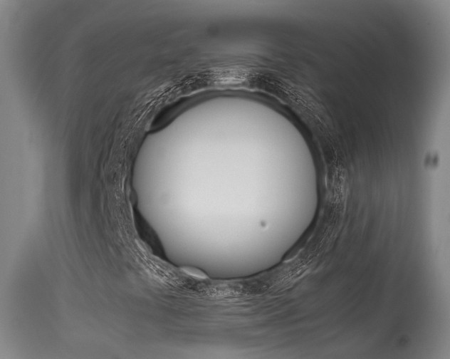 X0000115581441200911100943