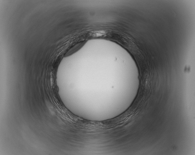 X0000115581442200911100943