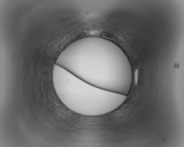 X0000115581443200911100943
