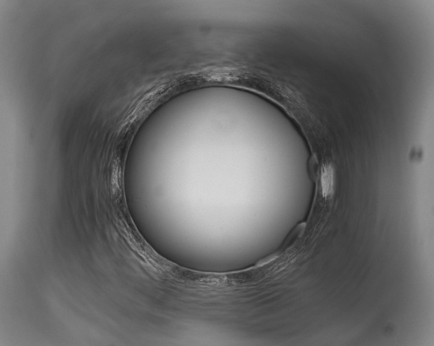 X0000115581444200911100943