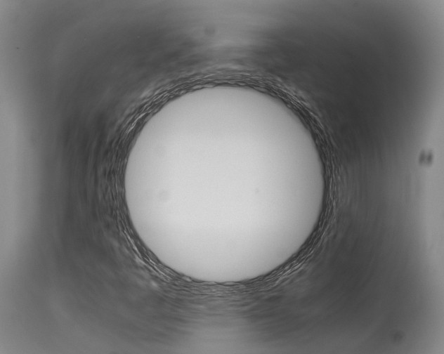 X0000115581445200911100943