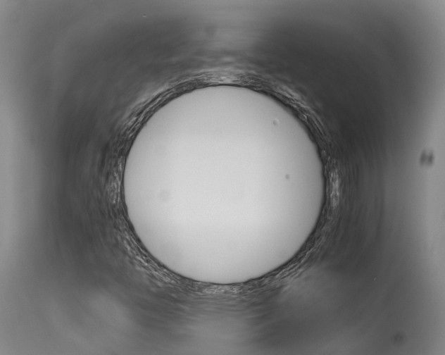 X0000115581446200911100943