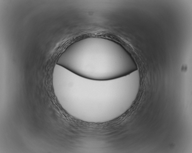 X0000115581447200911100943