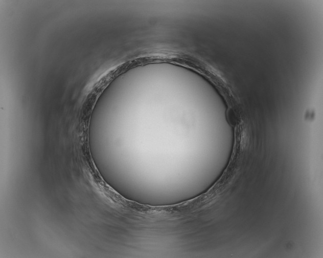 X0000115581448200911100943