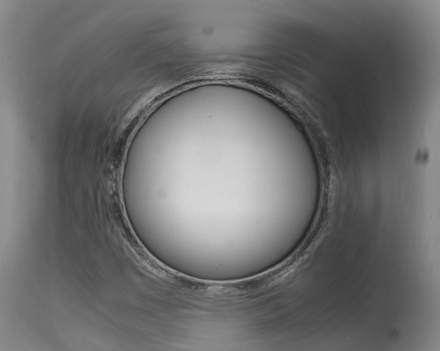 X0000115581449200911100943