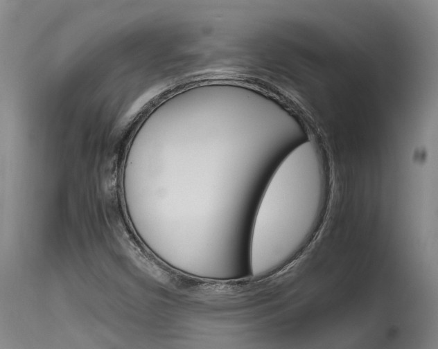 X0000115581450200911100943