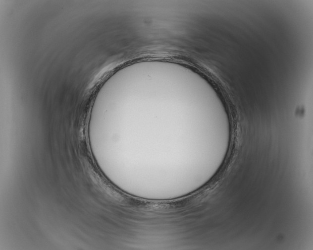 X0000115581451200911100943