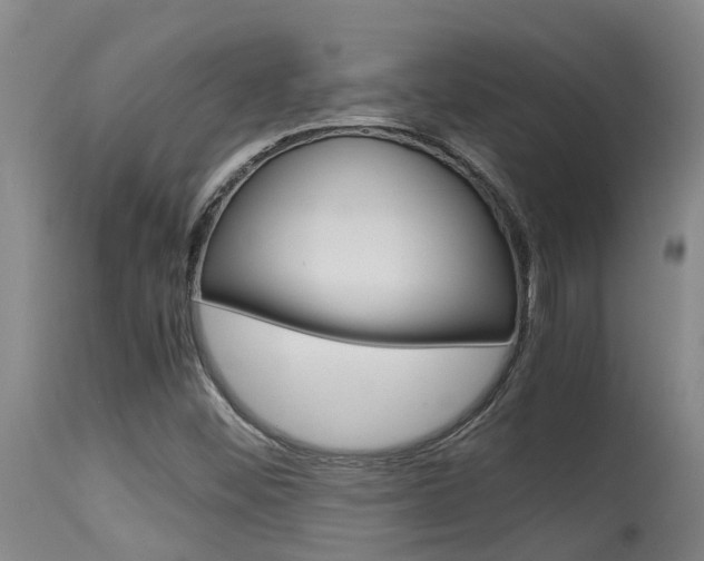 X0000115581452200911100943