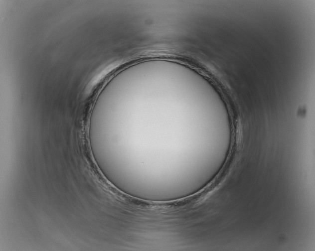 X0000115581453200911100943