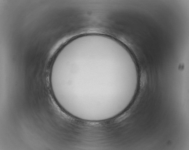 X0000115581454200911100943