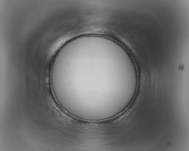 X0000115581455200911100943