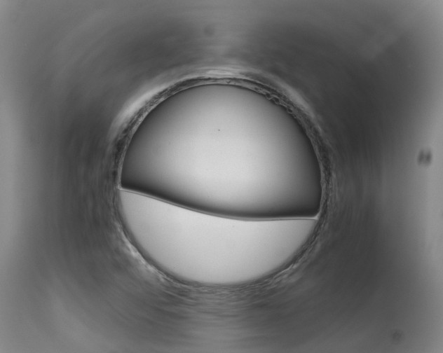 X0000115581456200911100943