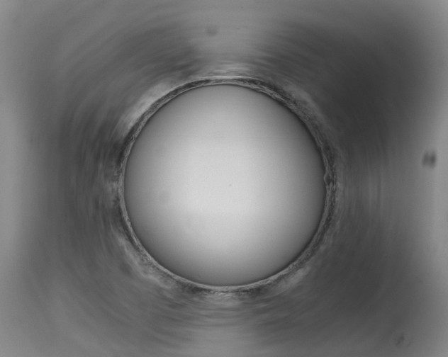 X0000115581457200911100943