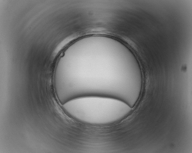 X0000115581458200911100943