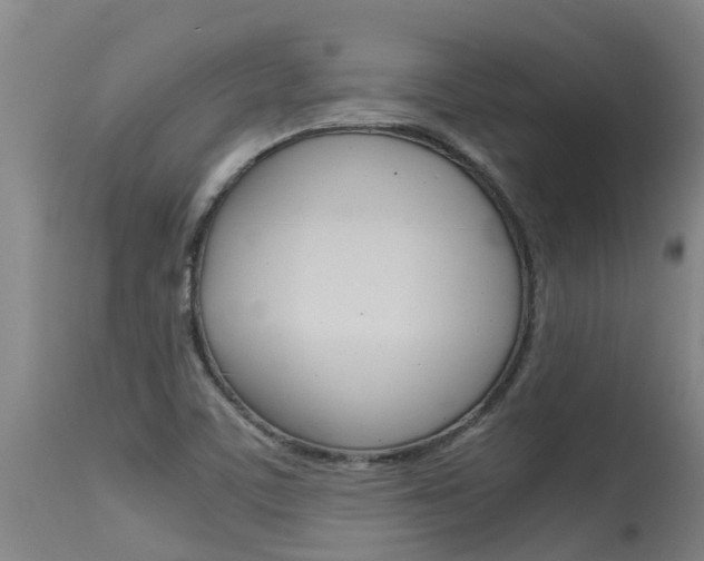 X0000115581459200911100943