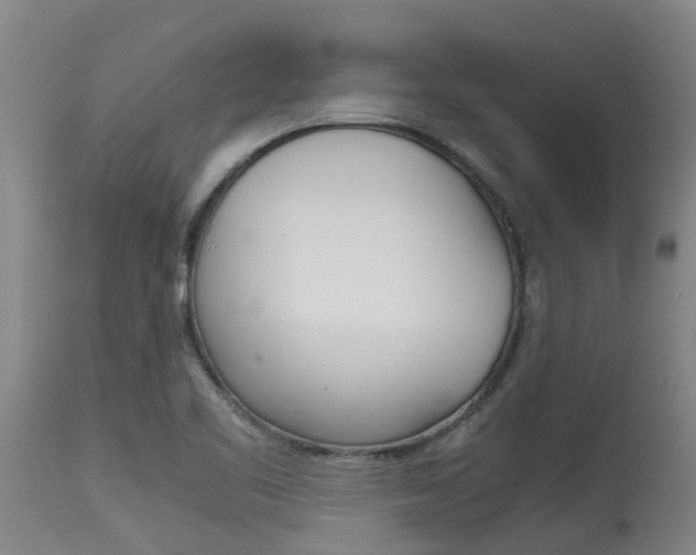 X0000115581461200911100943