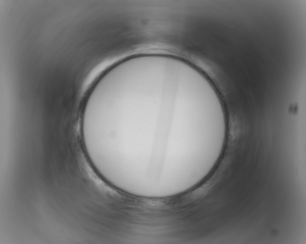 X0000115581462200911100943