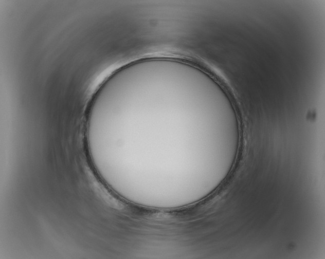 X0000115581463200911100943